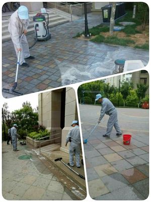 恒德物业坦诚小区五月工作通报 深化保洁服务，共建整洁家园